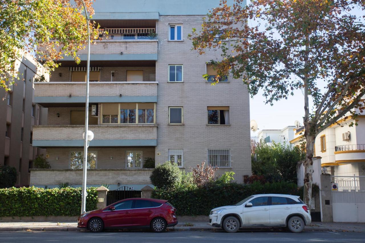 Borbolla Urban - Parking